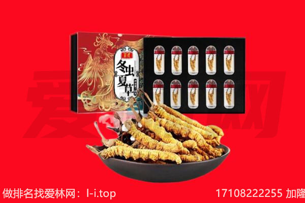 汕头回收虫草.jpg